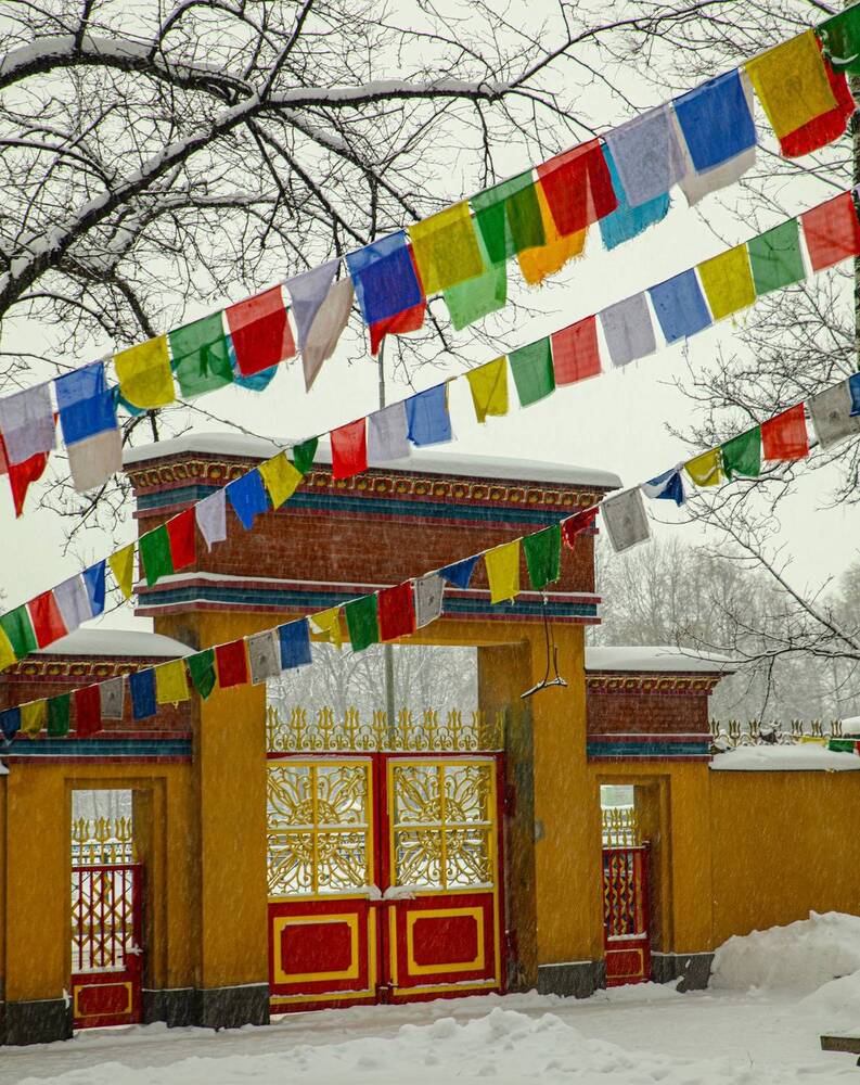 Photograph by Елена Данченко