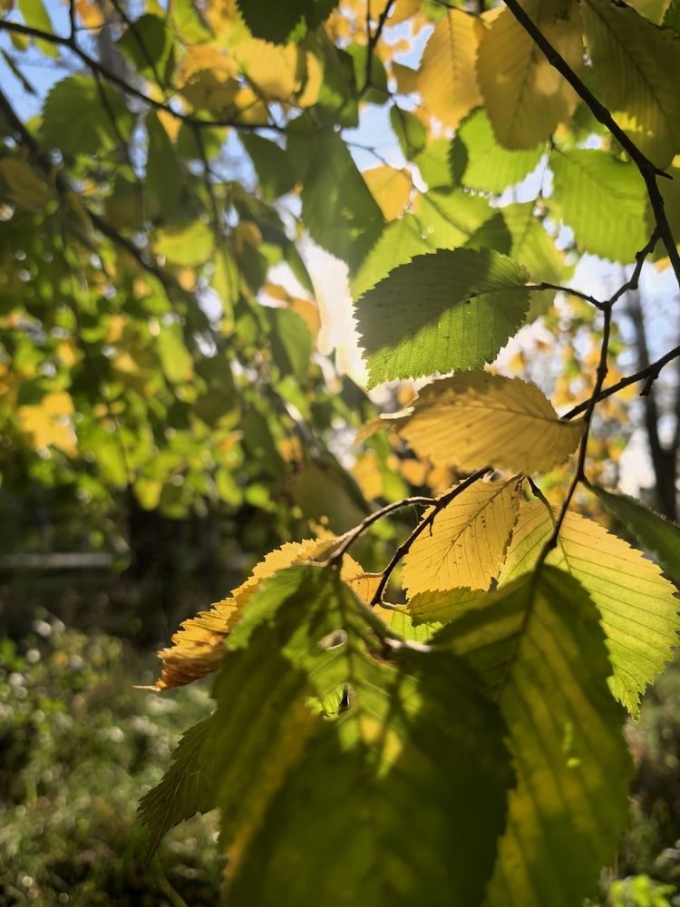 Photograph by Елена Терехова