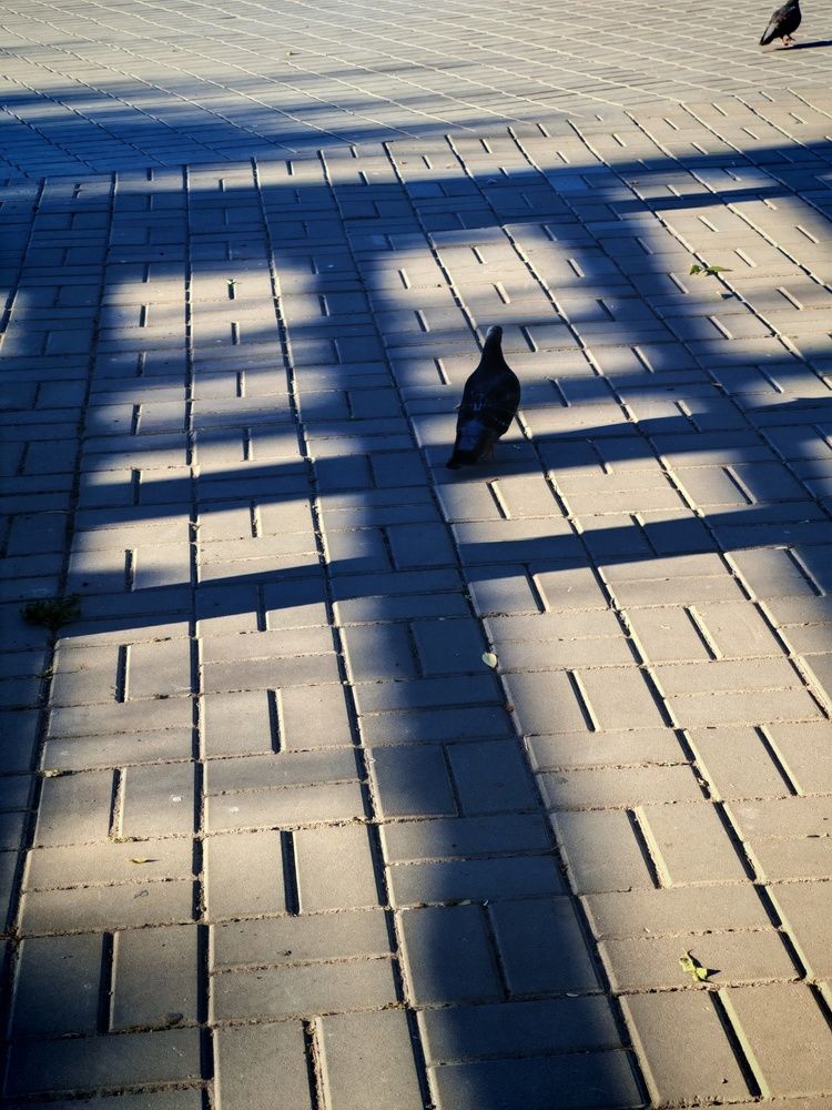 Photograph by Вакулина Марина