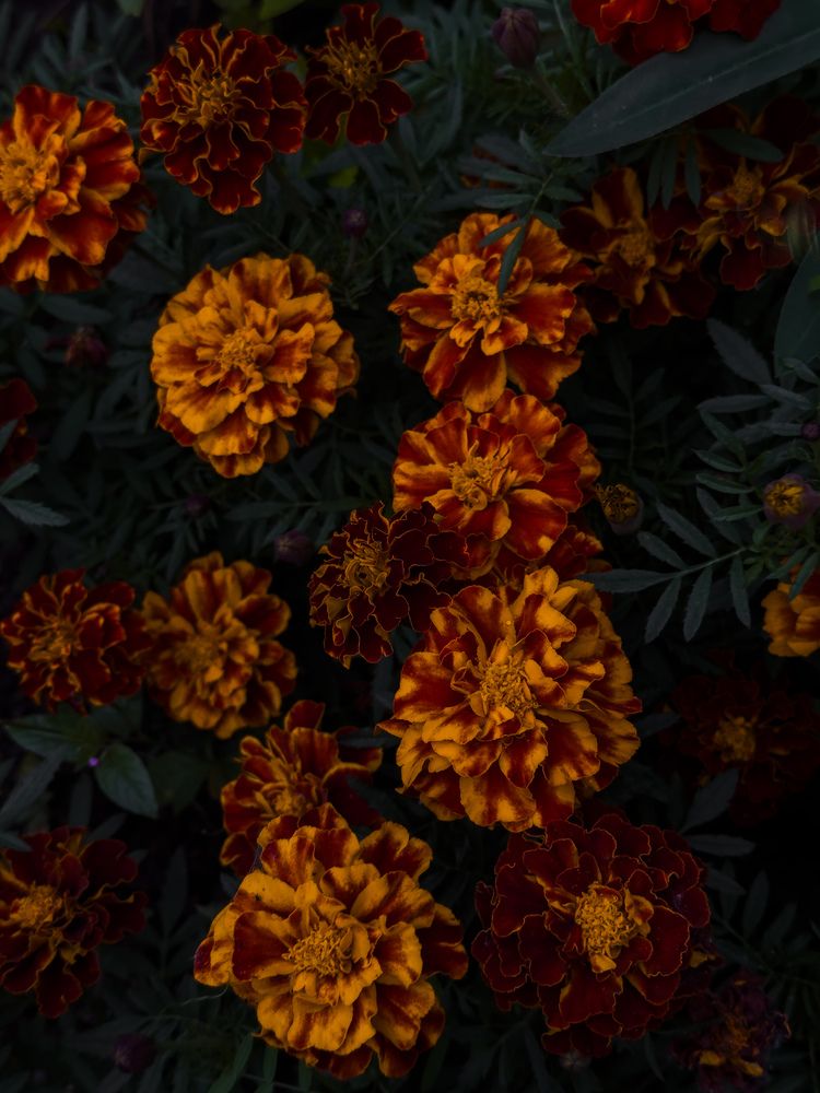 Photograph by Ася Жгенти