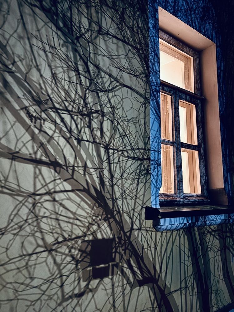 Photograph by Марина Сальникова