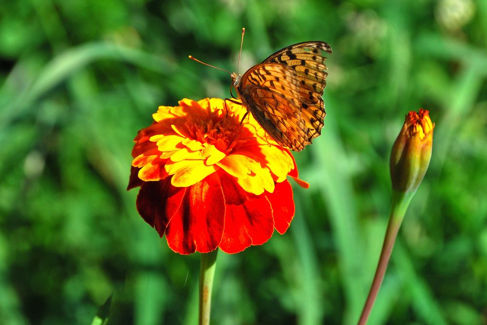 Photograph by Юрий Тимофеев