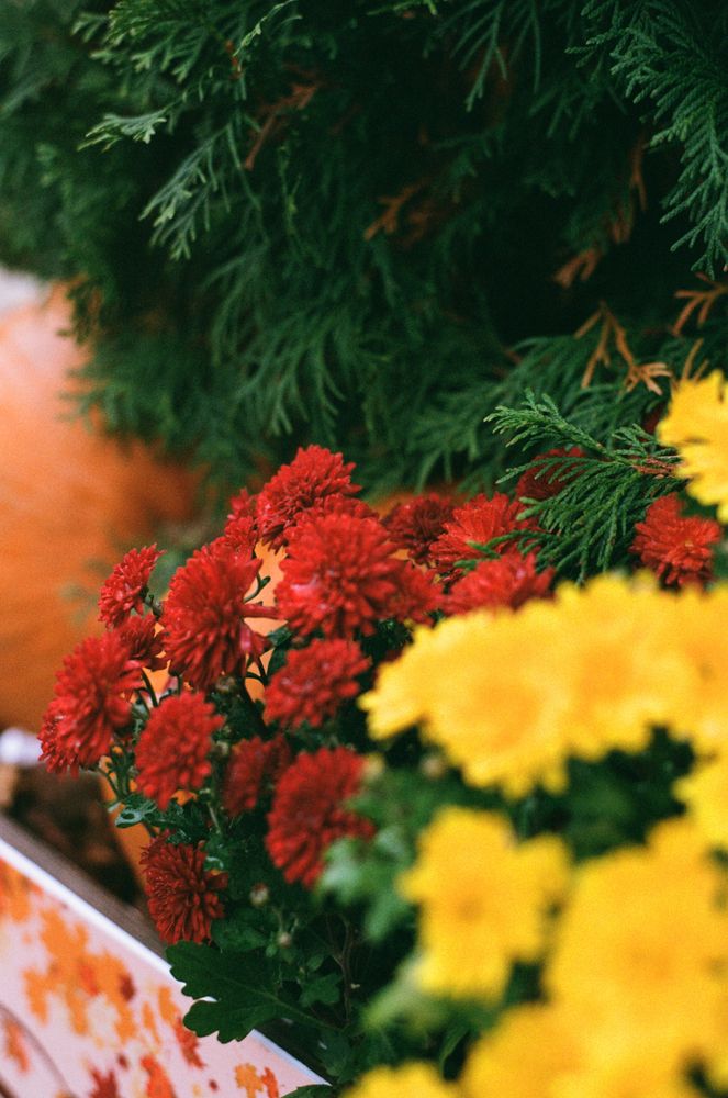 Photograph by Nadezhda Rav