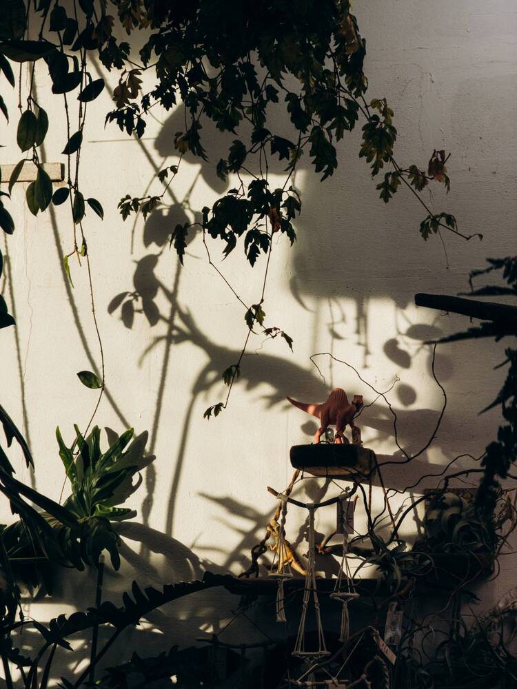 Фотография автора ALISA NEZHINSKAYA