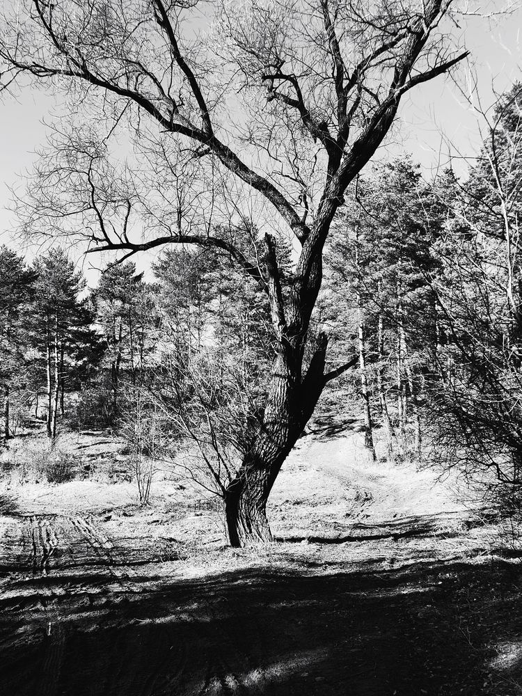 Photograph by Jozef Potocký