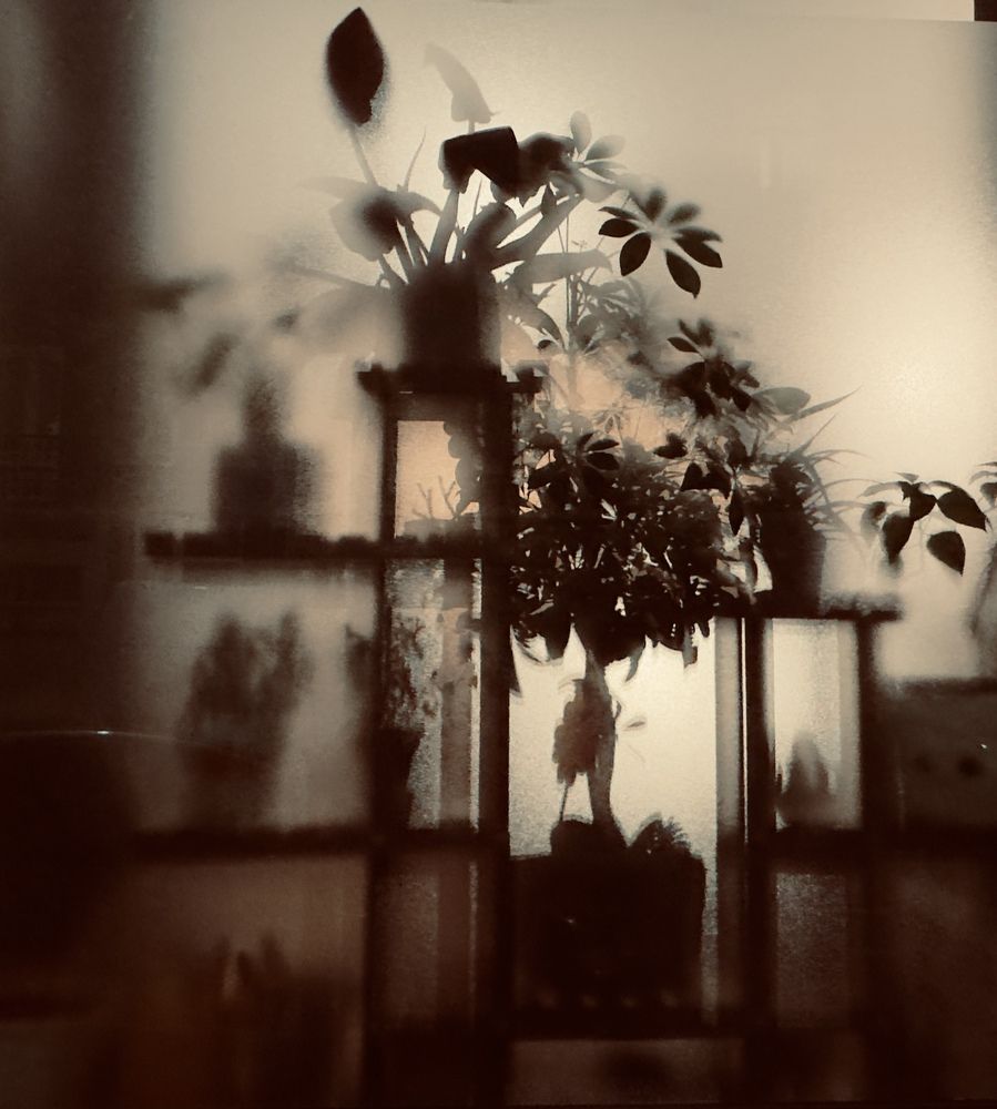 Photograph by Christa Claessens
