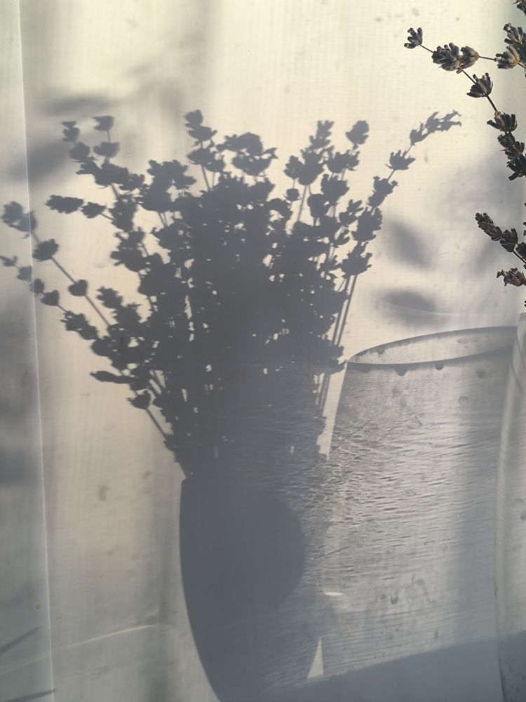 Photo #13454587