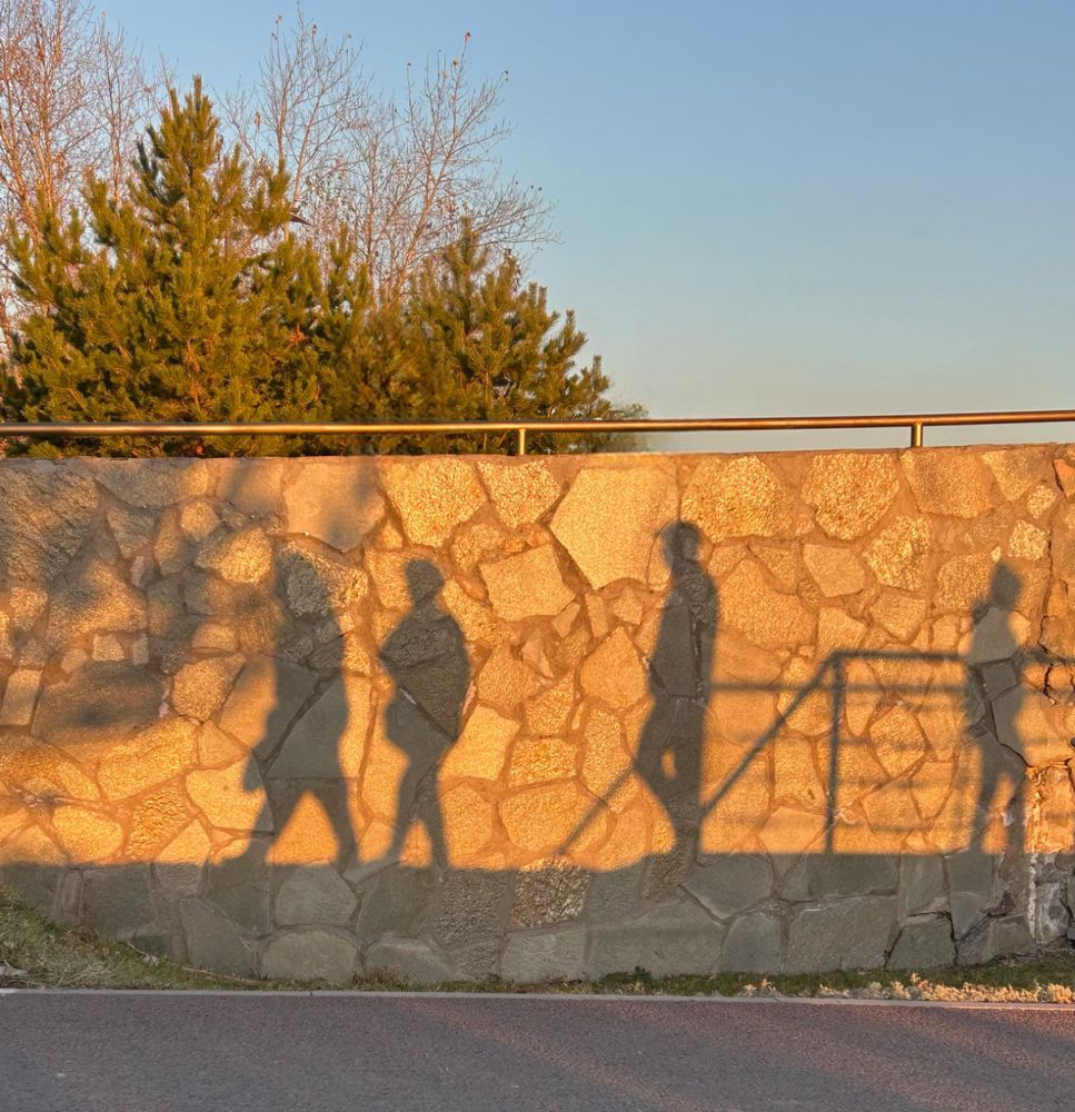 Photograph by Юлия Новоселецкая