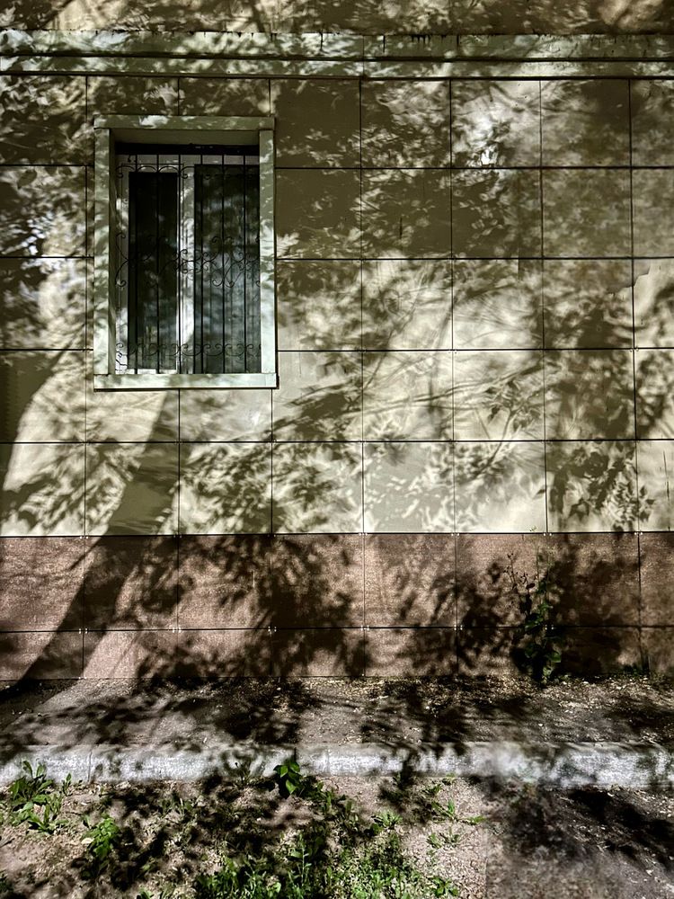Photograph by Юлия Новоселецкая