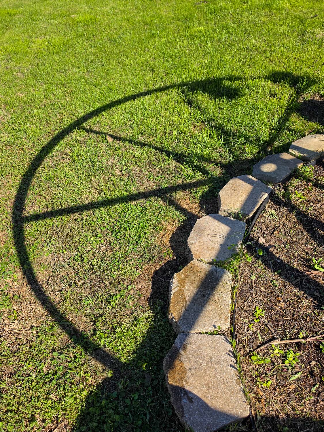 Фотография #13454659