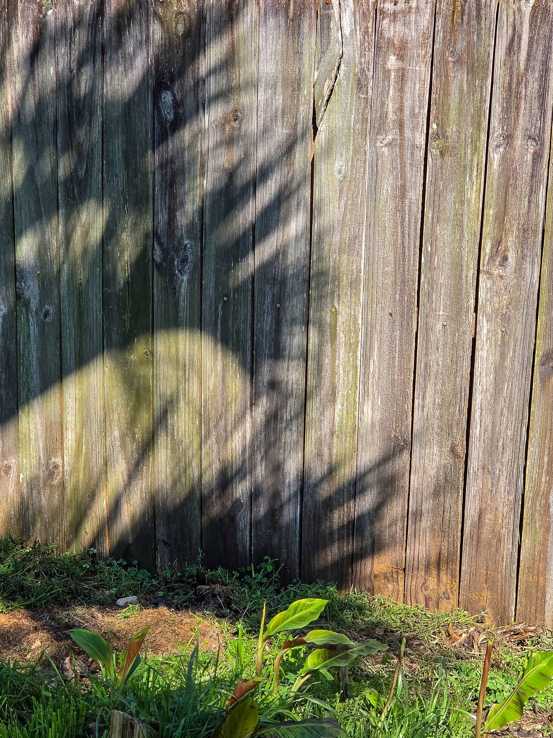 Фотография #13454660