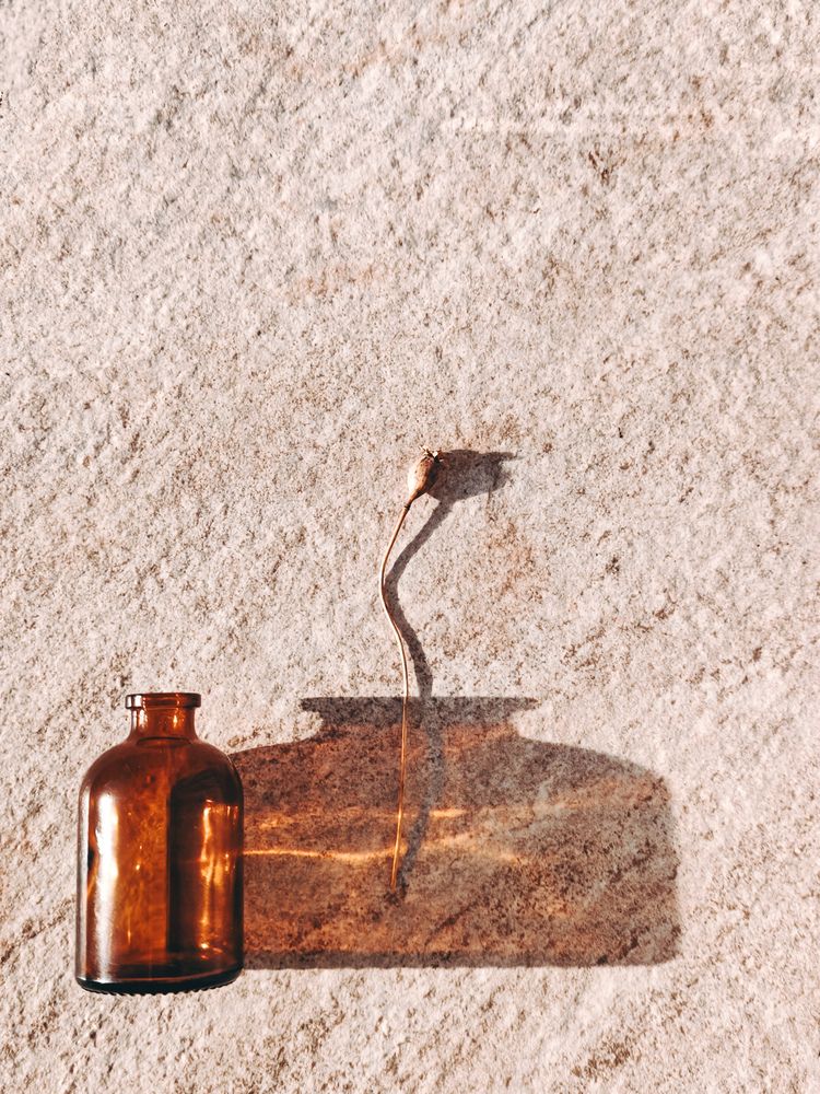 Фотография автора Maria Stankevich