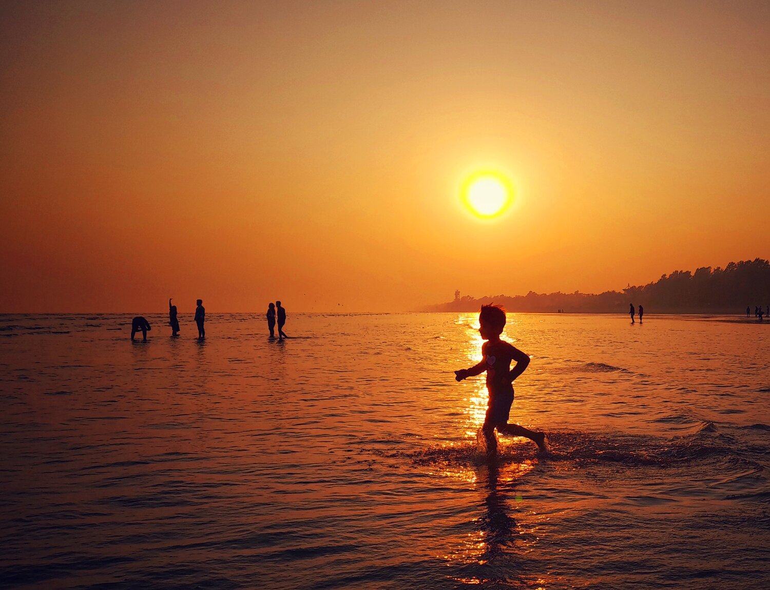 Photo #13454684