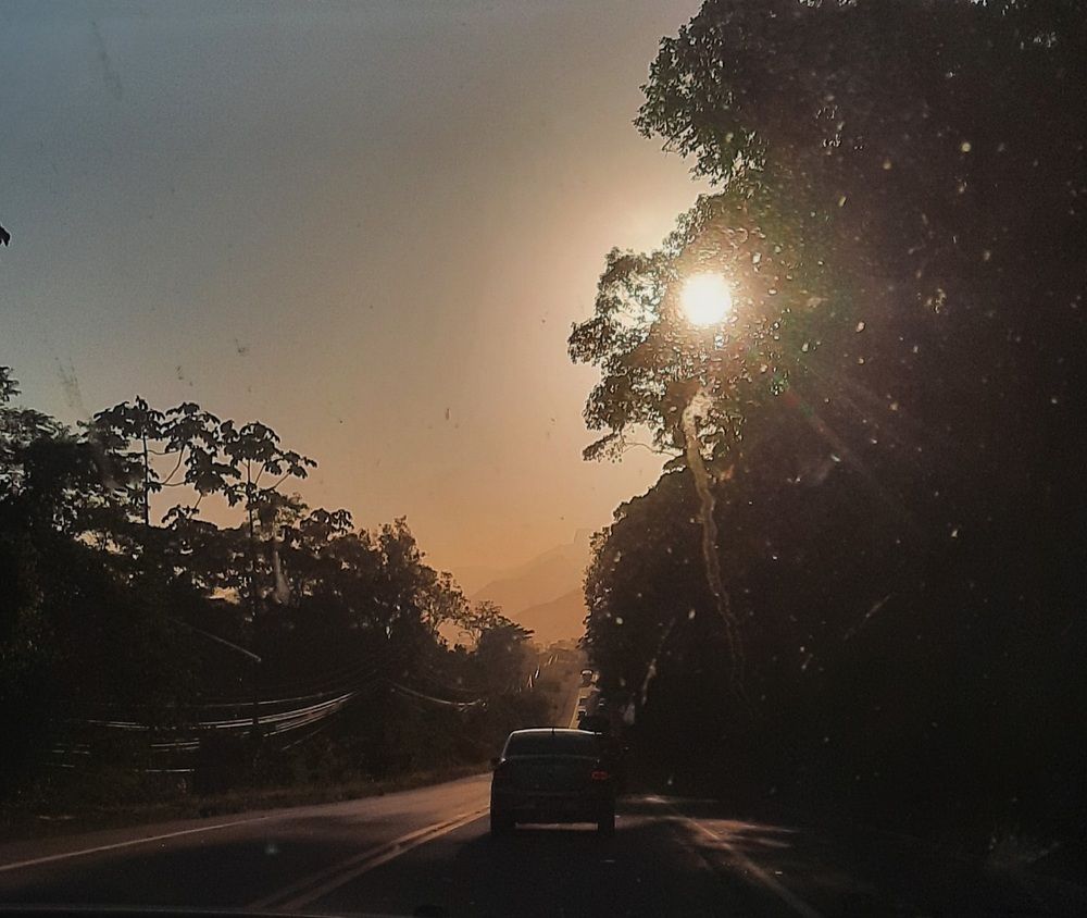 Photograph by Amanda Sant Anna