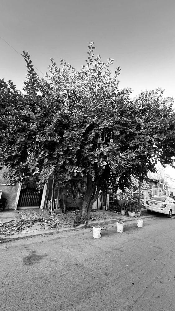 Photograph by Hussein Ali
