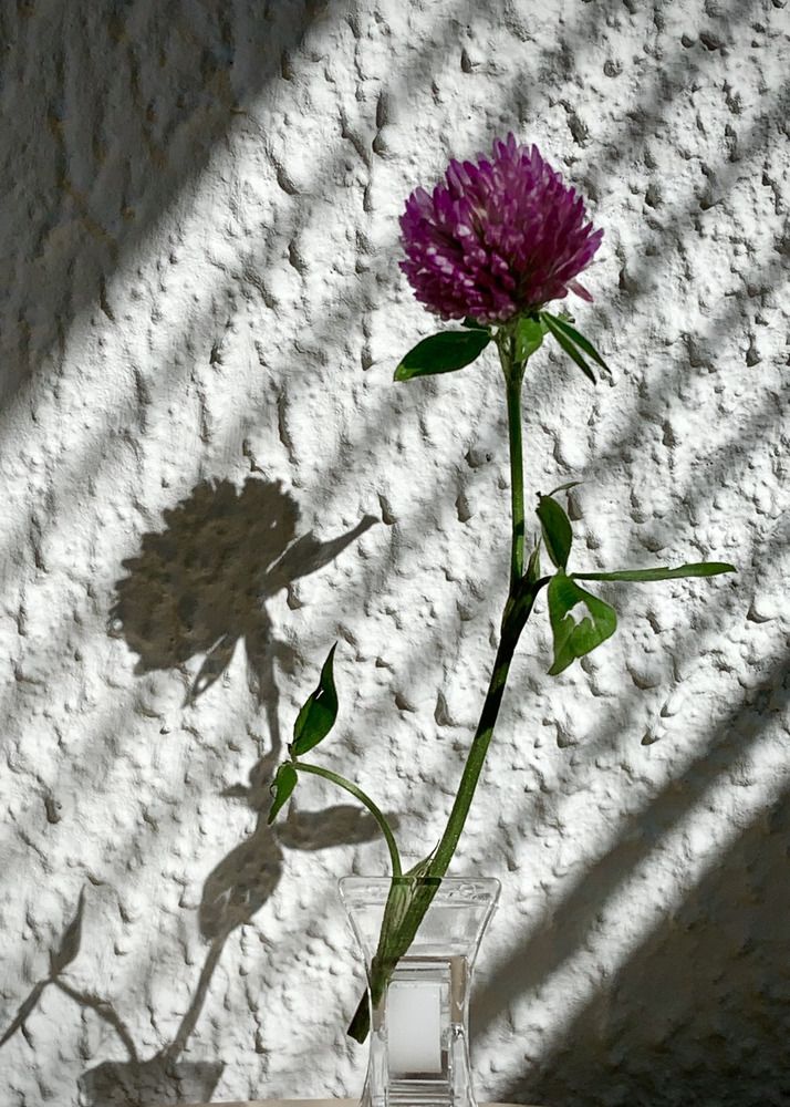 Фотография автора Надежда Смирнова