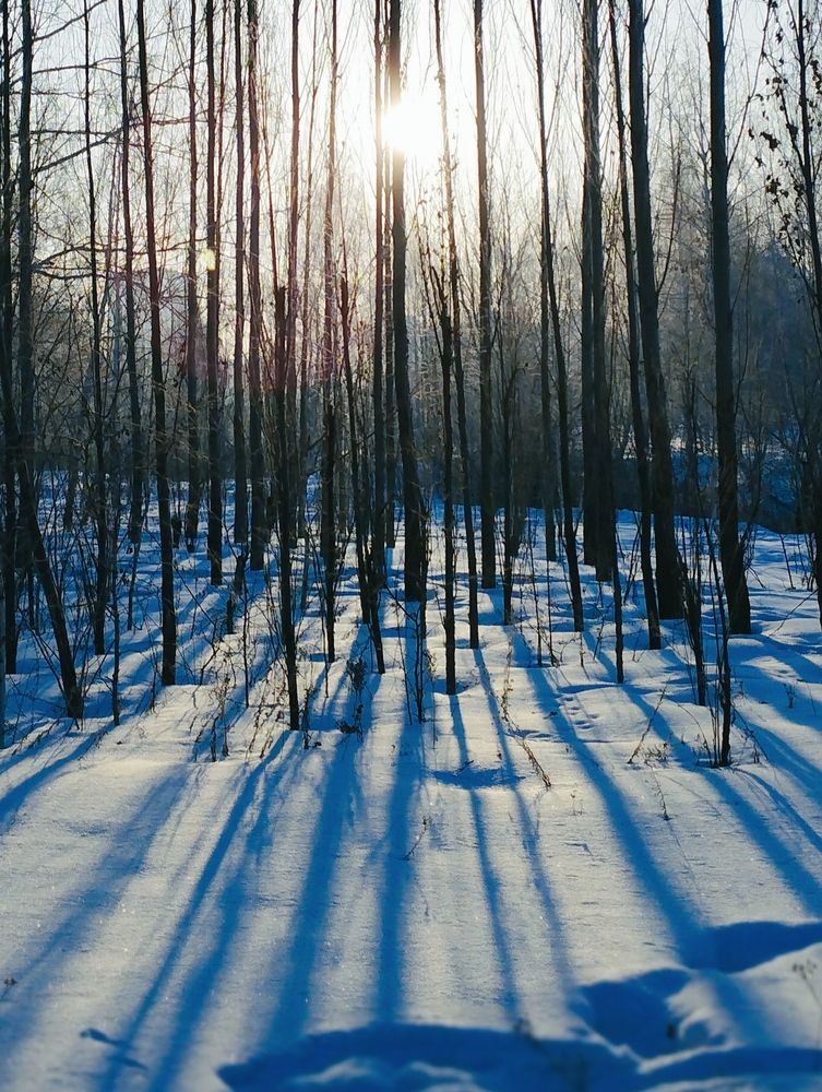 Photograph by Елена Белых