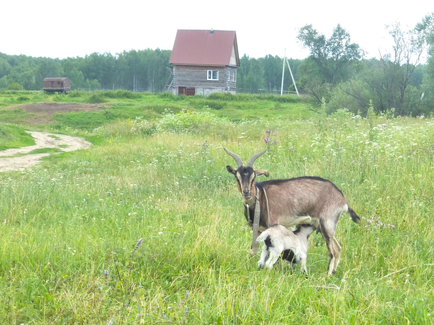 Photo #13454886