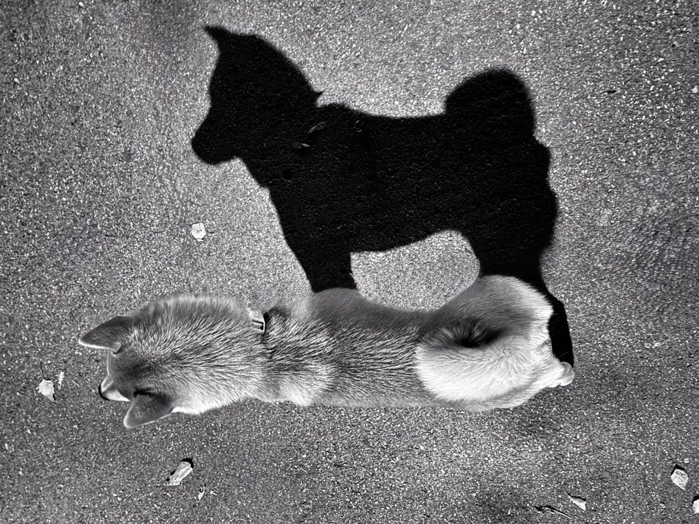 Photograph by Ксения Юртаева
