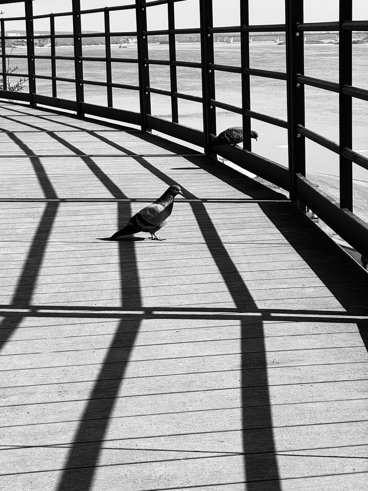 Photograph by Ксения Юртаева