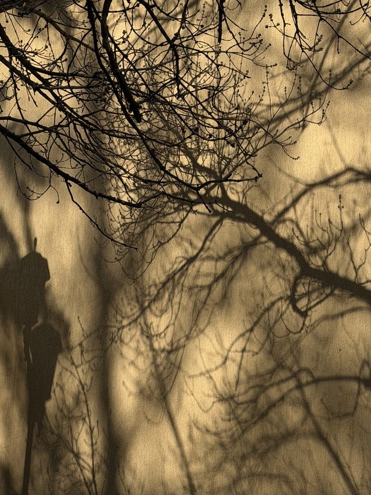 Photograph by Ксения Юртаева