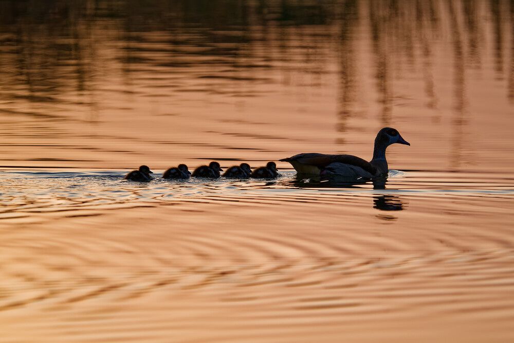 Photograph by Timofey Vlasov
