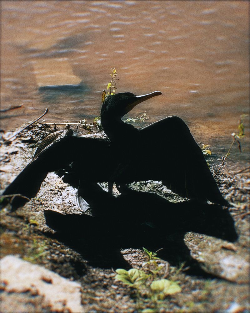 Photograph by Татьяна Казанкова