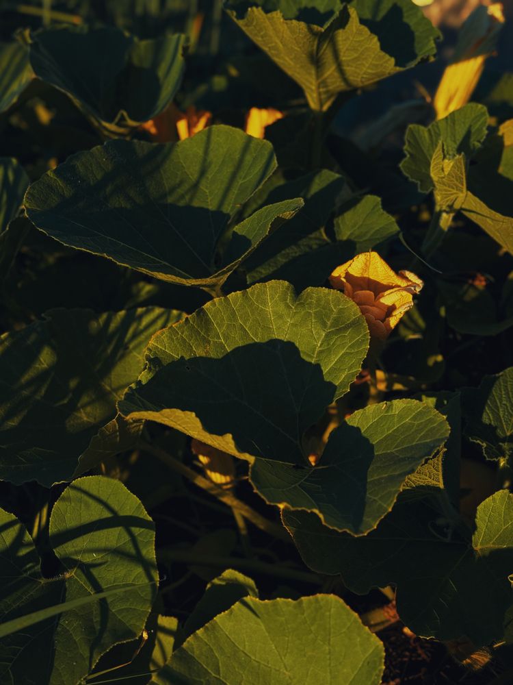 Photograph by Татьяна Казанкова