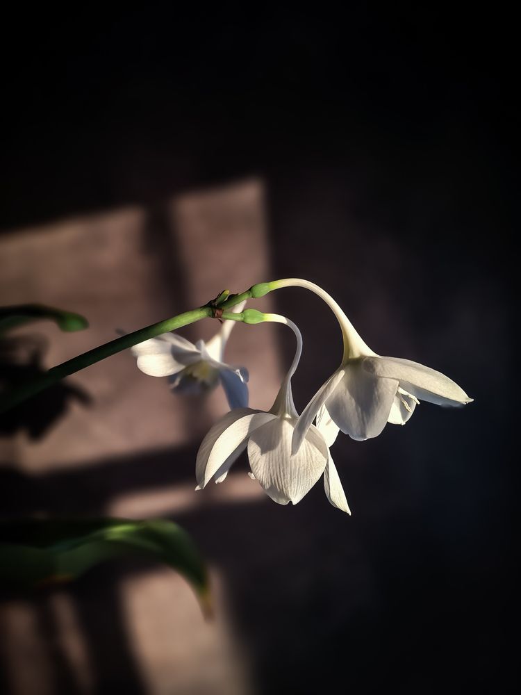 Photograph by Марина Мальцева