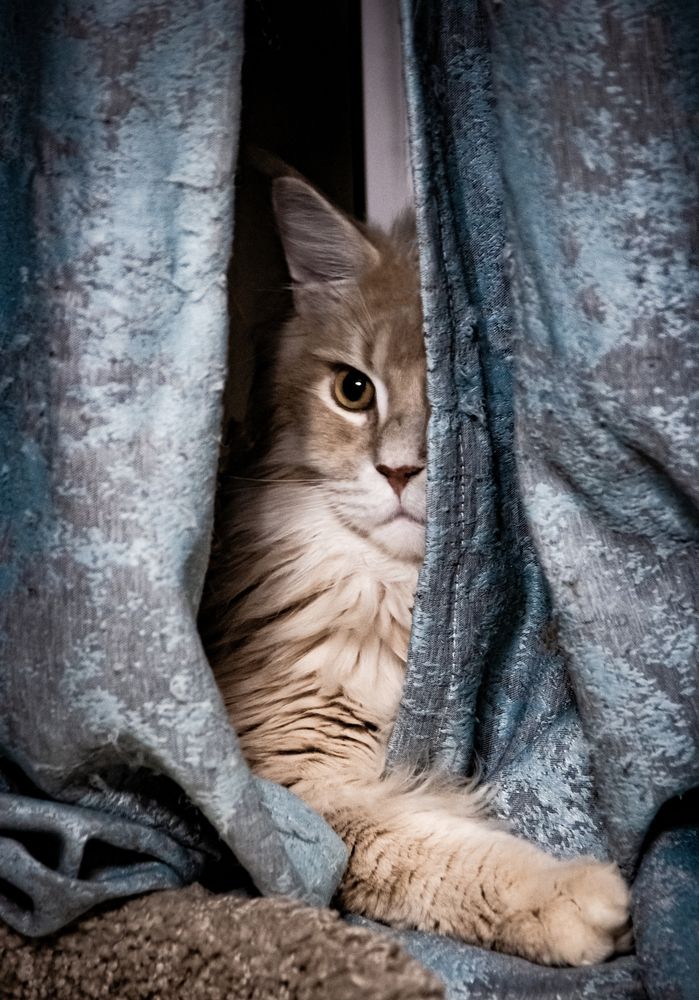 Photograph by Фролов Антон
