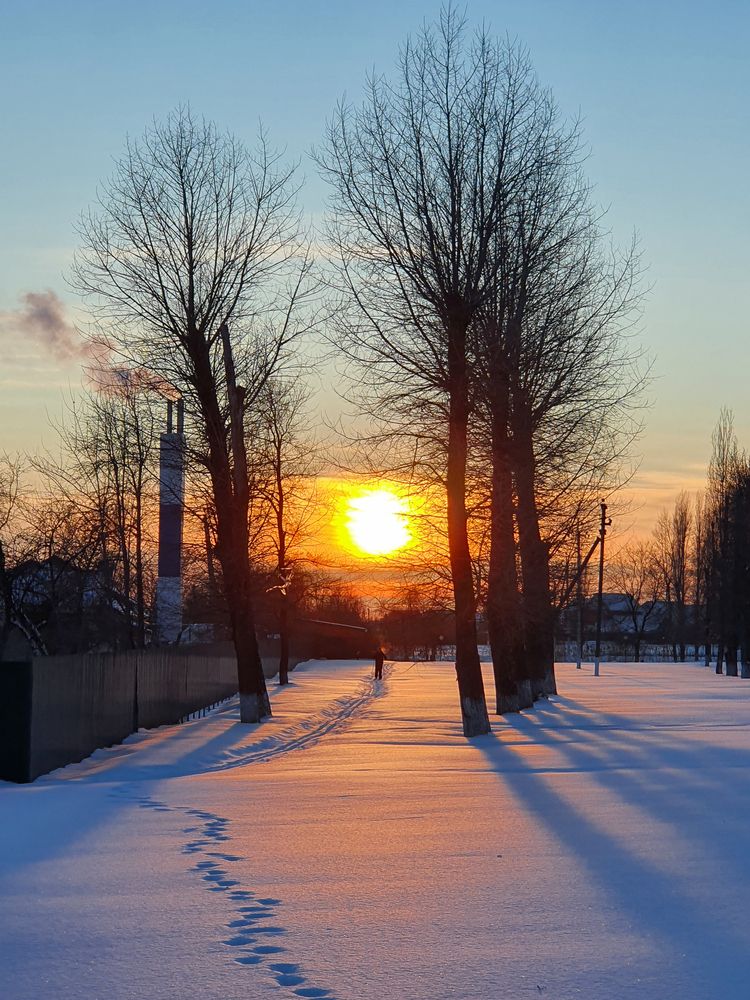 Лыжная прогулка
