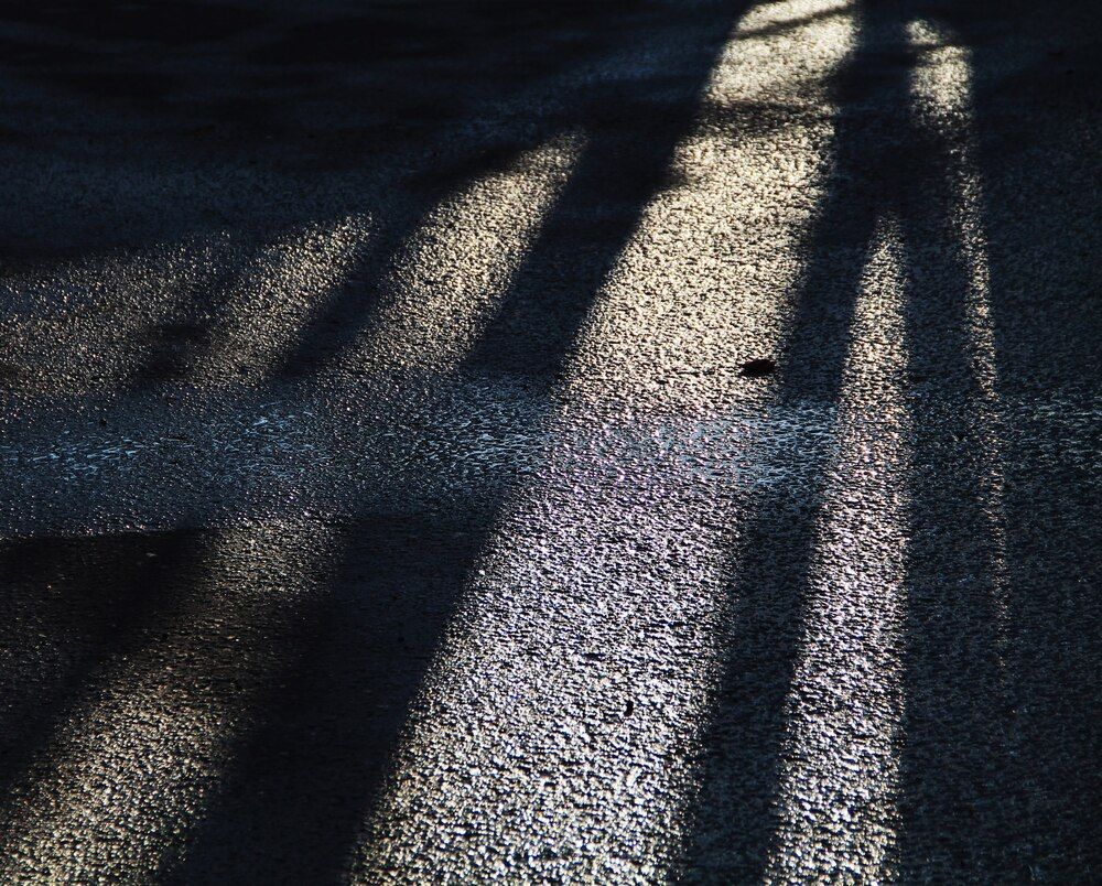 Photograph by Mark Litvak