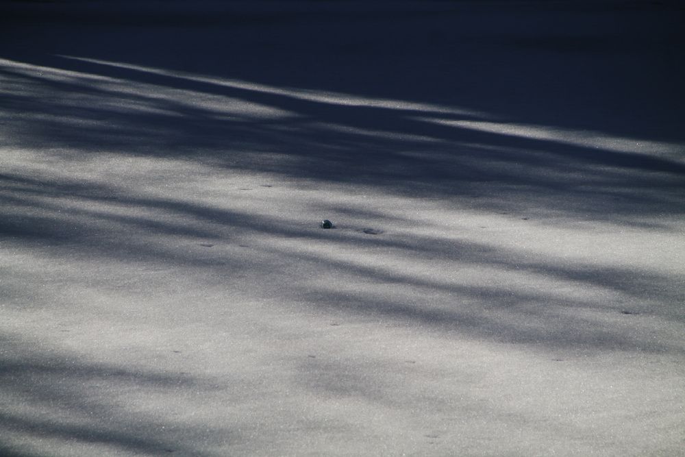 Photograph by Mark Litvak