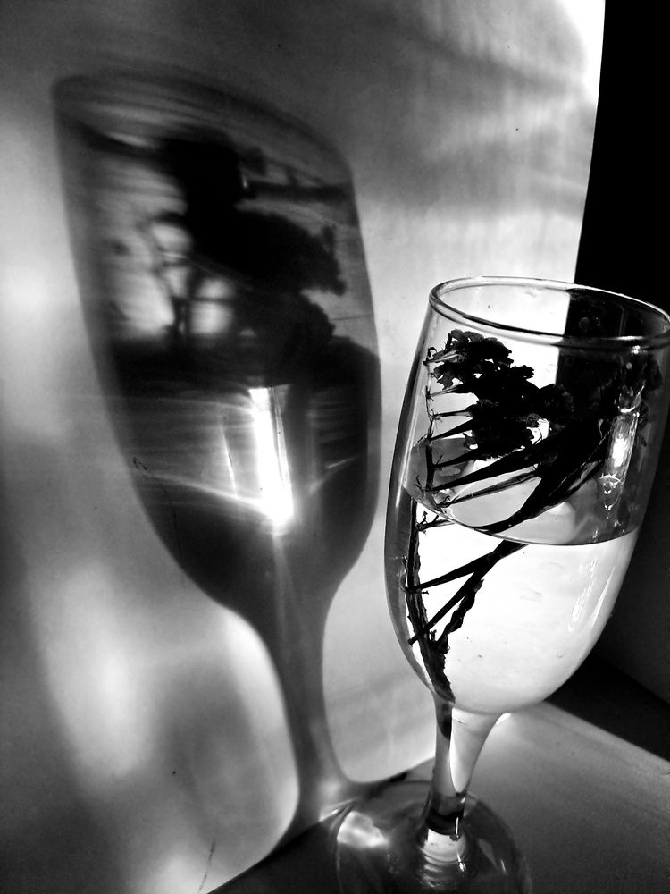 Photograph by Наталья Сдвижкова