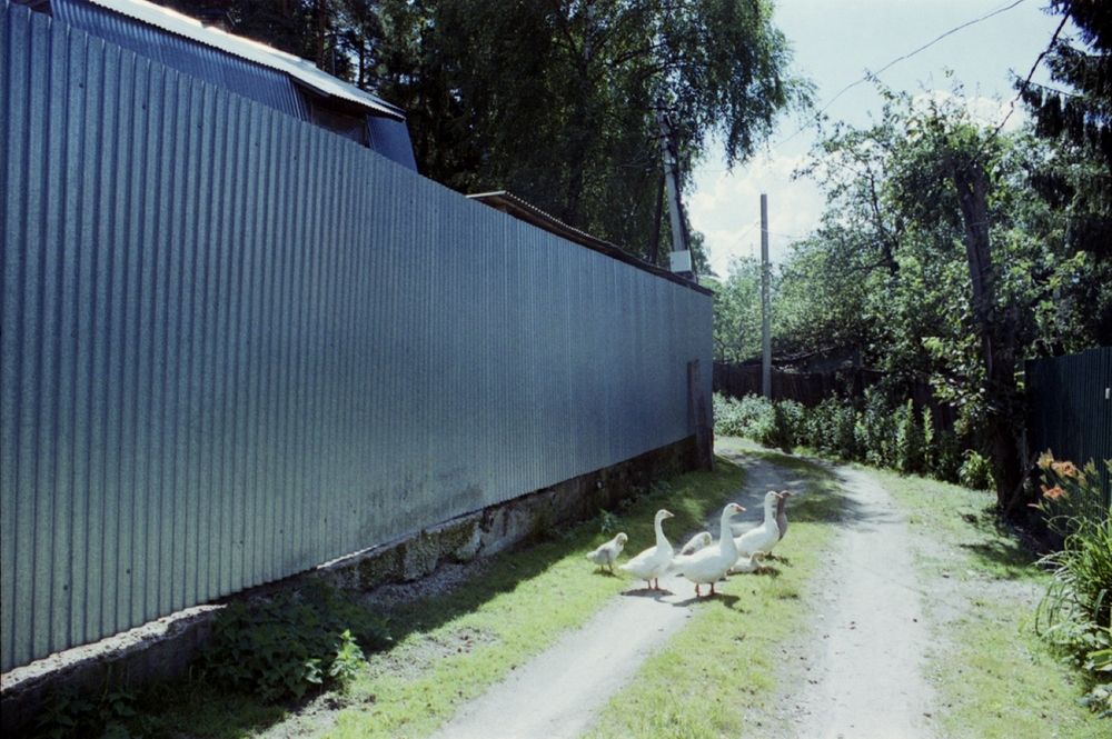Photograph by Роман Бадусов