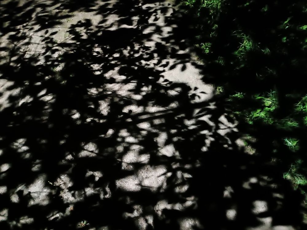 Photograph by Olga Kot