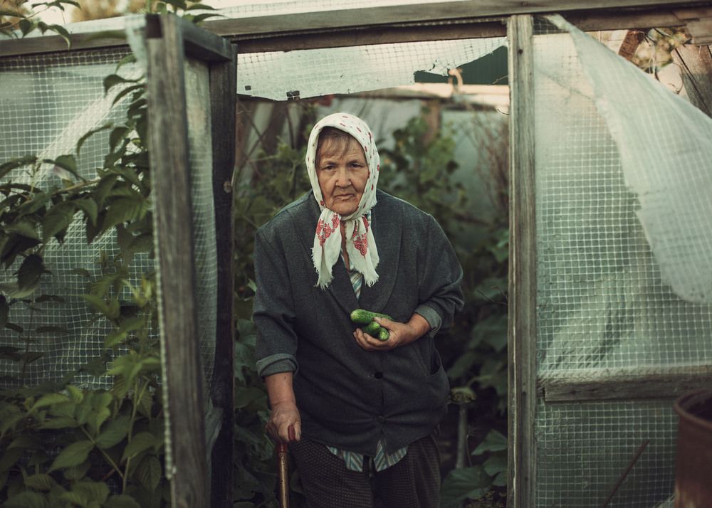 Фотография автора Ольга Лобачёва