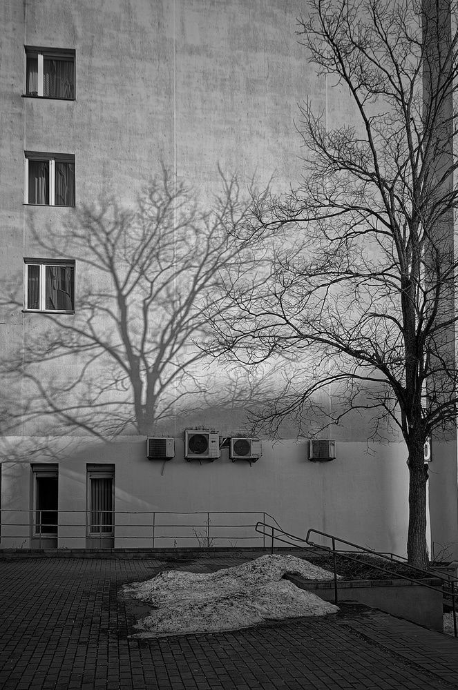 Photograph by Leanid Kulpo