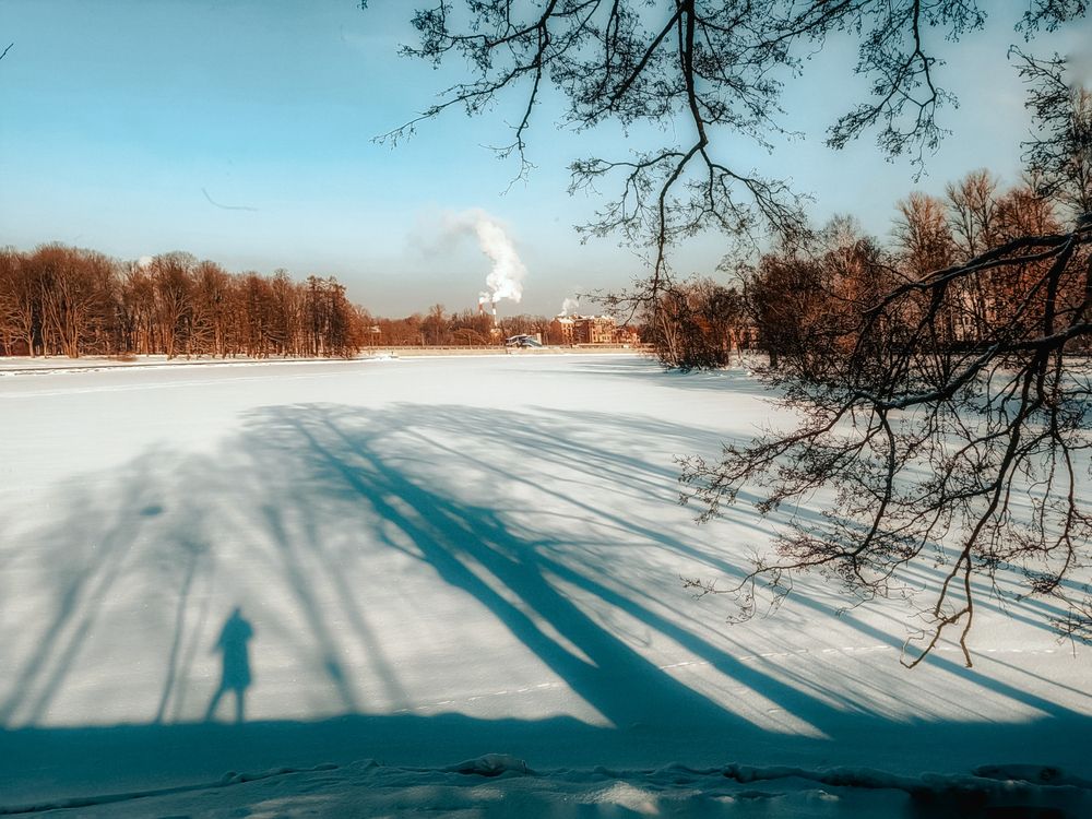 Photograph by Мария Самохвалова