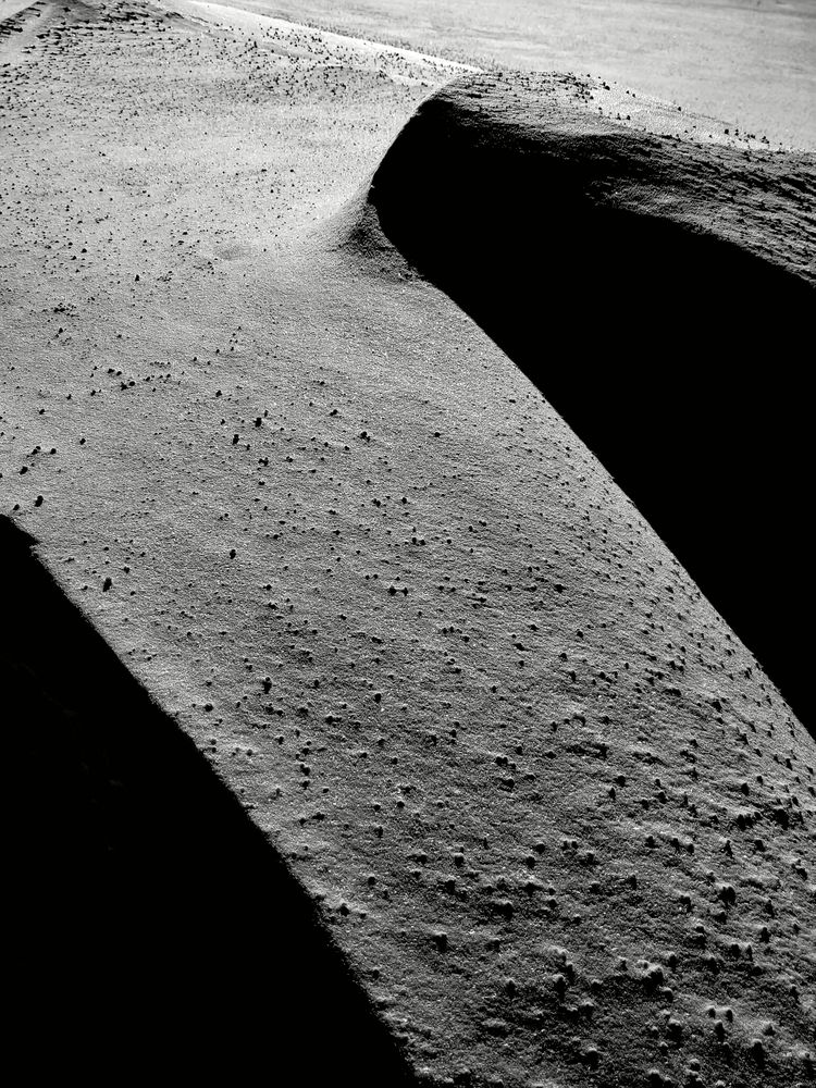 Фотография автора Алёна Пшеленская