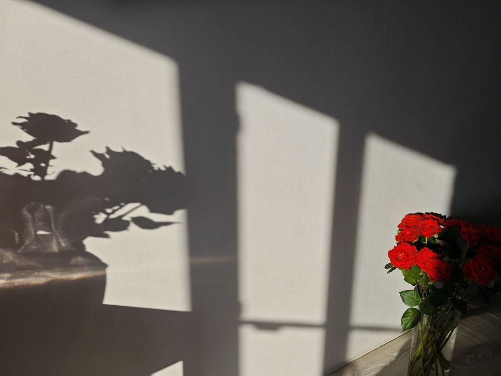 Photograph by Ася Титова
