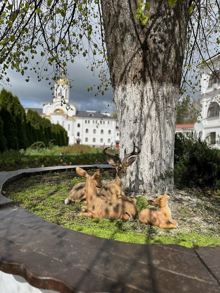 Photograph by Виктория Ляпина