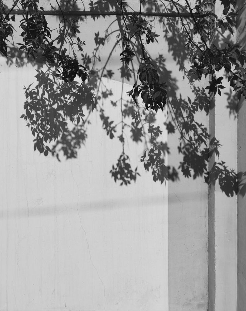 Фотография автора Наталья Веряскина