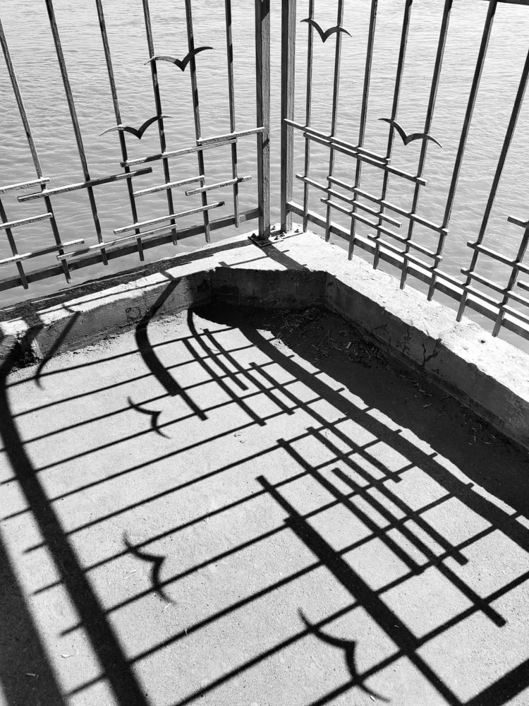 Фотография автора Наталья Веряскина