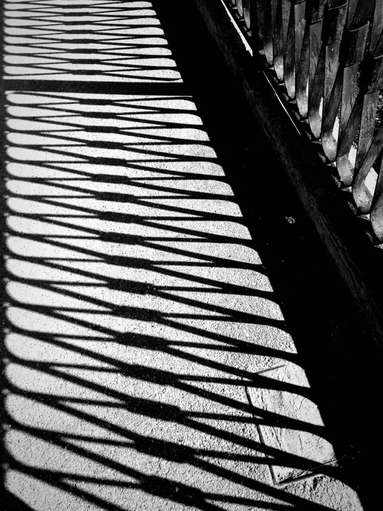 Photograph by Светлана Ищенко