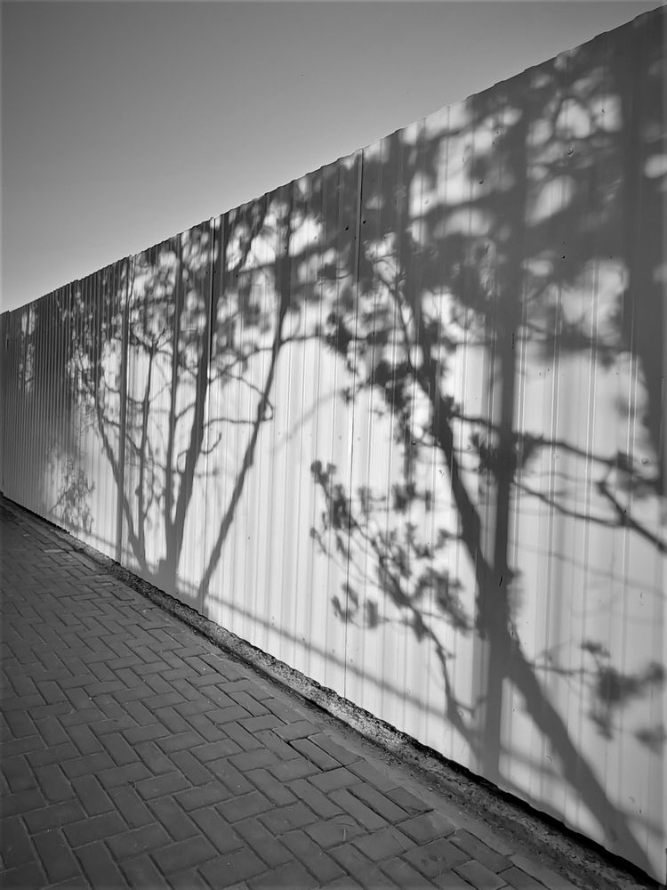 Фотография автора Наталья Веряскина