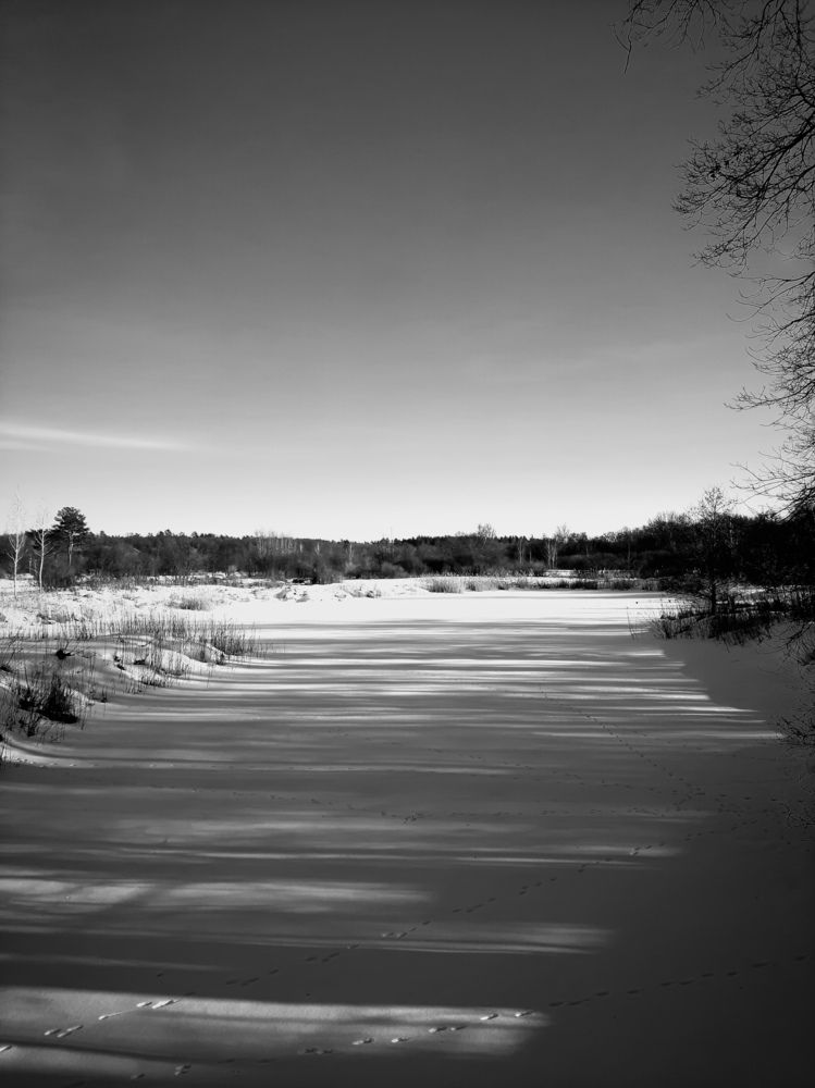 Photograph by Юлия Закопайло