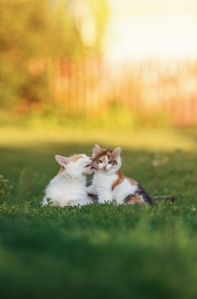 Photograph by Наталья