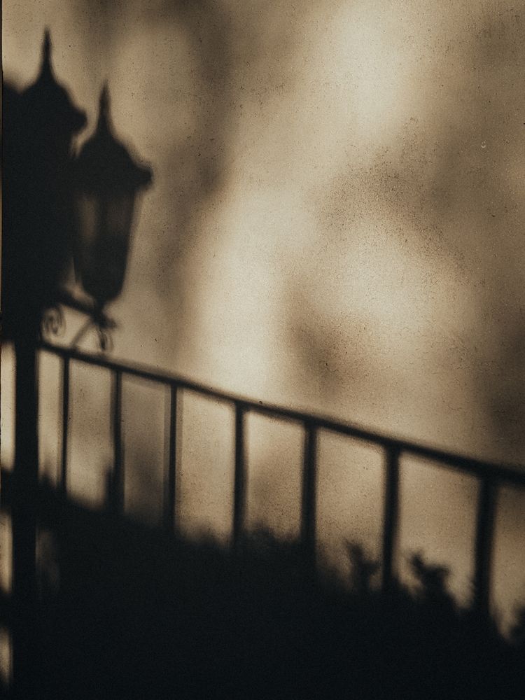 Photograph by Александра Шилова