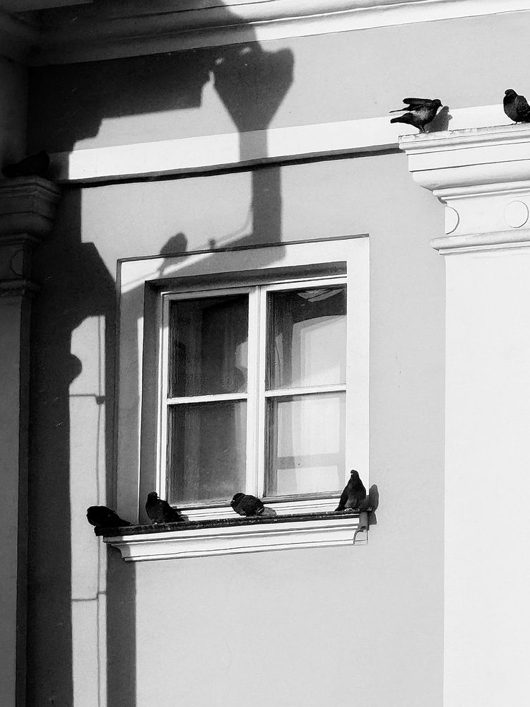 Photograph by Елена Чулюнина